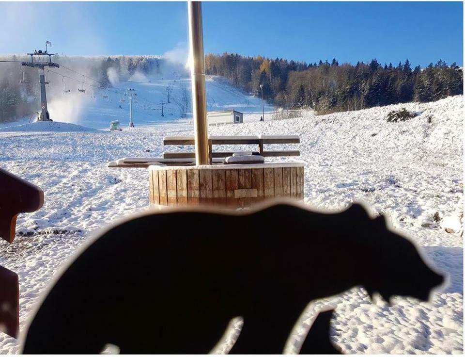 אוסטריצקי דולנה Pensjonat Laworta Ski מראה חיצוני תמונה